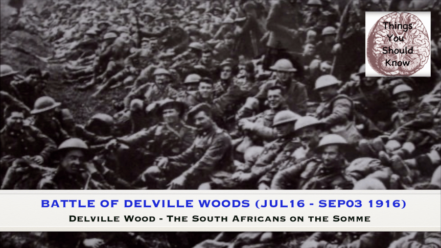 1916-19 — Battle of Delville&nbsp;Wood